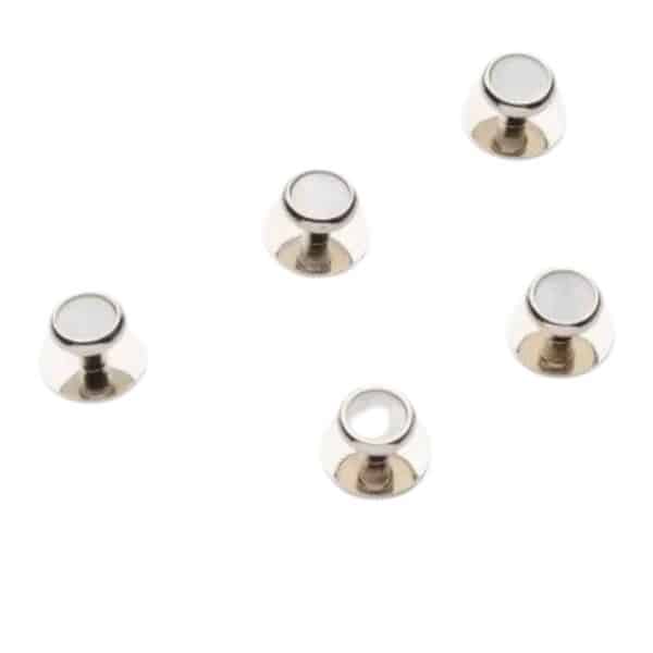 Warwicks Mother of Pearl Dress Studs