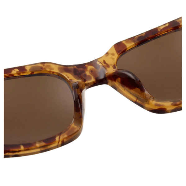 WARWICKS Brown Transparent Sunglasses I