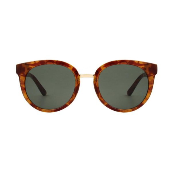 Warwicks Gray Demi Light Brown Tortoise Sunglasses