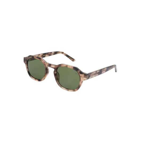 Warwicks Zan Coquina Sunglasses 2