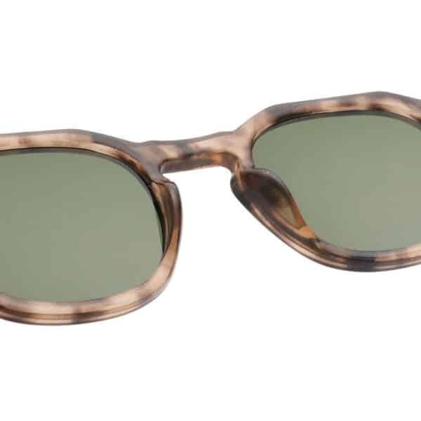 Warwicks Zan Coquina Sunglasses 3